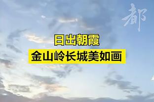 每日电讯报：切尔西和加密货币公司BingX达成新的赞助协议